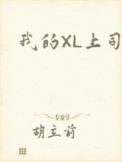 我的XL上司