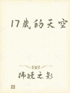 17岁的天空