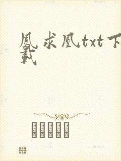 凤求凰txt下载