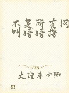 不是所有网站都叫暗暗撸