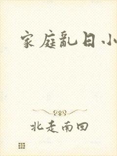 家庭乱日小说