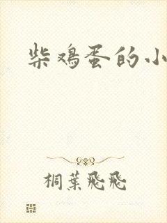 柴鸡蛋的小说