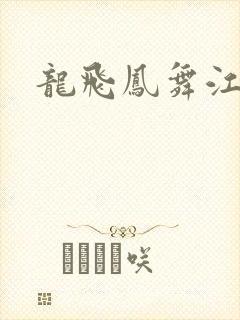龙飞凤舞江一龙封面