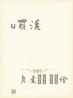 u罗汉封面