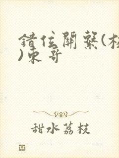 错位关系(校园)东哥