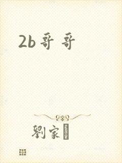 2b哥哥