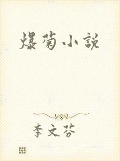 爆菊小说
