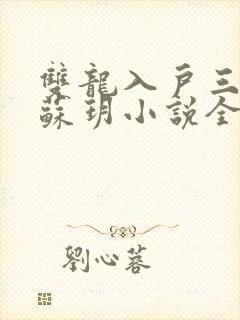 双龙入户三人行苏玥小说全文阅读