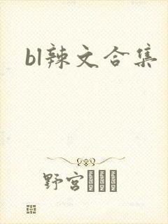 bl辣文合集