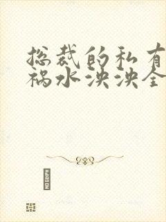 总裁的私有宝贝祸水泱泱全文阅读