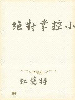 绝对掌控小说