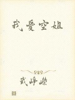 我爱空姐封面