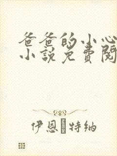 爸爸的小心肝儿小说免费阅读