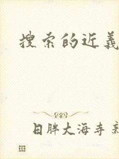搜索的近义词封面