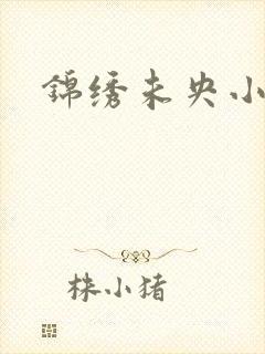 锦绣未央小说