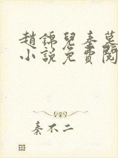 赵锦儿秦慕修的小说免费阅读全文