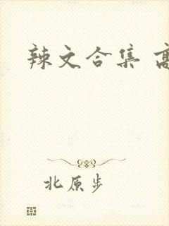 辣文合集 高h
