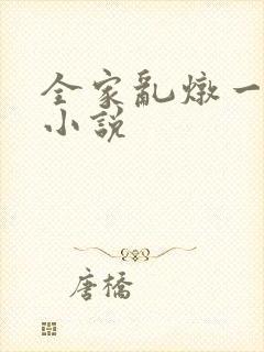 全家乱炖一锅烩小说