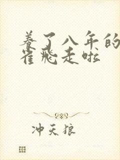 养了八年的金丝雀飞走啦