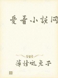 爱看小说网
