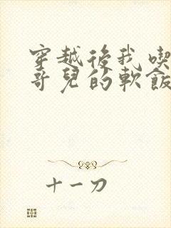 穿越后我吃到了哥儿的软饭炉山灰封面