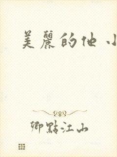 美丽的他 小说封面