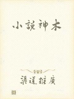 小说神木