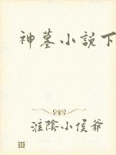 神墓小说下载