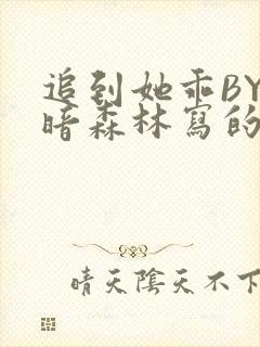 追到她乖BY黑暗森林写的小说