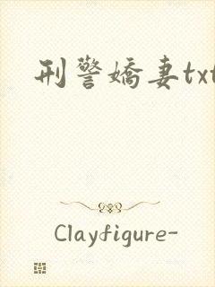 刑警娇妻txt封面