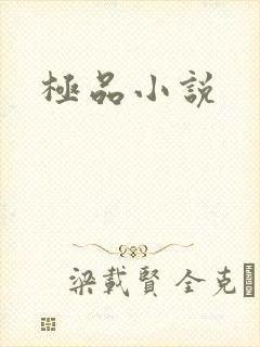 极品小说