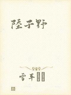 陆子野封面