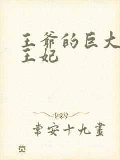 王爷的巨大进入王妃