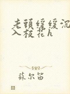 老头缓缓沉腰进入校花h