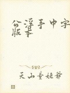 公浮手中字最新版本封面