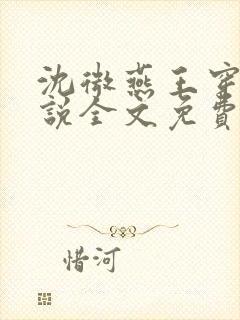 沈微燕王穿越小说全文免费阅读封面