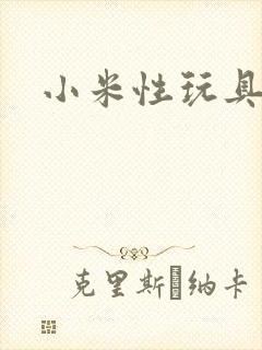 小米性玩具日记