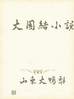 大团结小说全文封面
