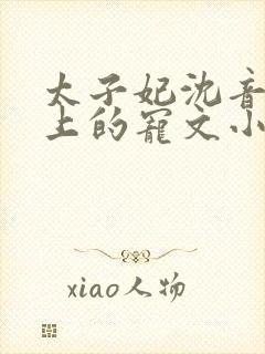 太子妃沈音和皇上的宠文小说