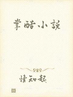 掌酷小说