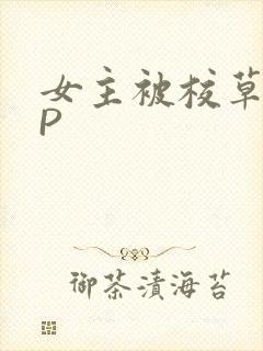 女主被校草们NP