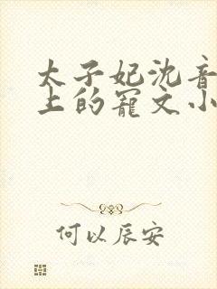 太子妃沈音和皇上的宠文小说