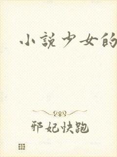 小说少女的心