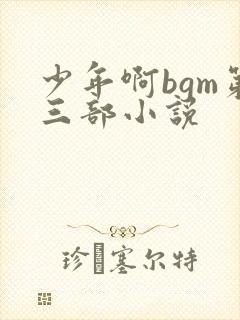 少年啊bgm第三部小说封面