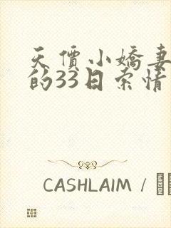 天价小娇妻总裁的33日索情封面