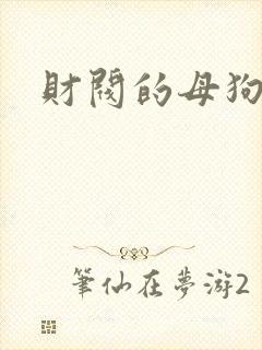 财阀的母狗们