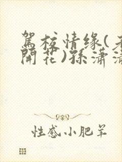 驾校情缘(老树开花)孙潇潇笔趣阁