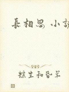 长相思 小说