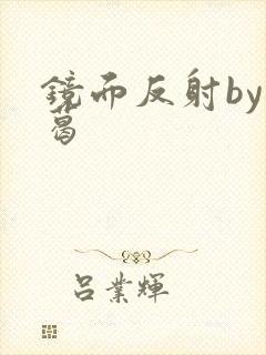 镜面反射by九葛封面