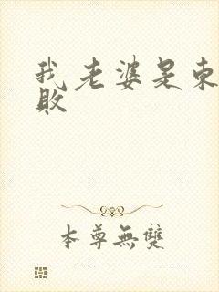 我老婆是东方不败封面